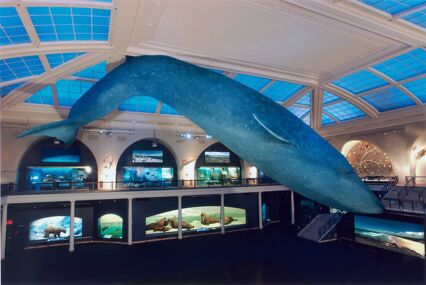 American Museum of Natural History