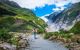 Track at Franz Josef Glacier, Located in Westland Tai Poutini National Park on the West Coast of New Zealand