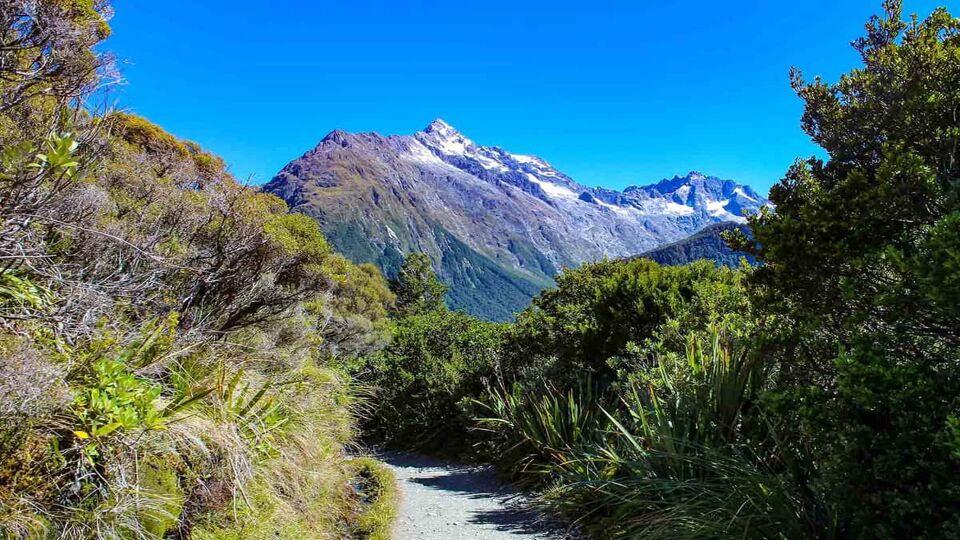 Stunning view of Mount Christina through lush greenery at the Key Summit Track section of Routeburn Track, one of the Great Tracks on New Zealand's South Island in Fiordland National Park.