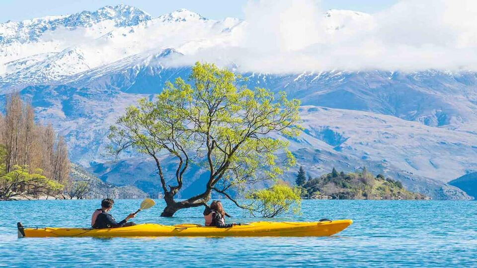 Tourist kayaking pass the iconic lone tree in lake Wanaka the fouth largest lake in New Zealand.