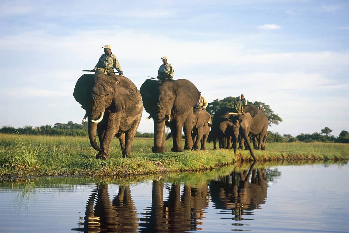 guests on elephant back having a safari
