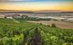 Landscape view of the the vineyard during a sunset with the countryside in the background