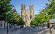 A landscape view of the pathway towards the cathedral, lined with trees on a sunny blue day