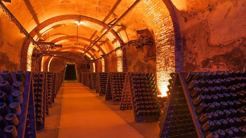 Wine cellar with barrels of Champagne