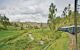 Train travelling through countryside