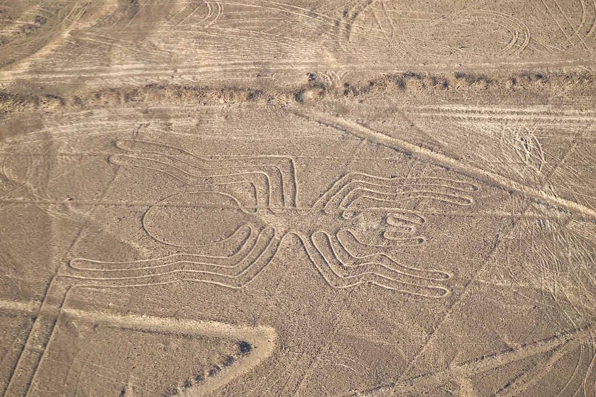 The Nazca line in the shape of a spider, seen from above