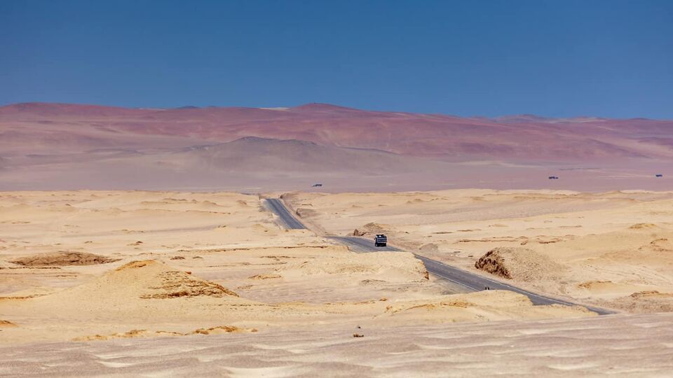 A car drives down a road through the desert in the reserve