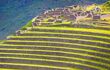 The Pisac ruins on a green hill with farming terraces