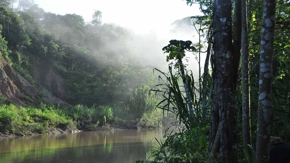 A misty jungle and river