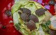 Baby turtles eating lettuce