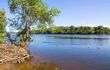 Daintree River from a riverbank