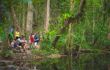 Guided tour in the Daintree rainforest
