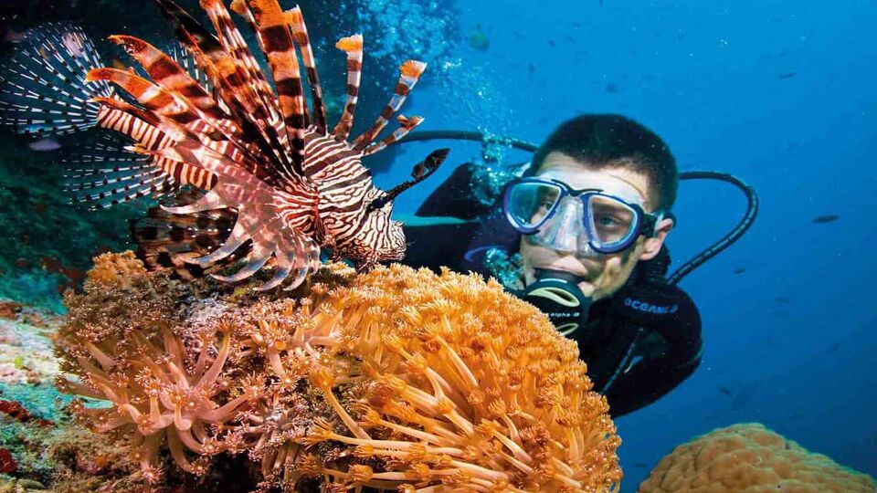 Diver looking close up at a coral