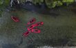 Aerial view of a group of drifters io red floats