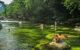 Tourists swimming in the river