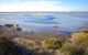 Flat wetlands with foliage at the end