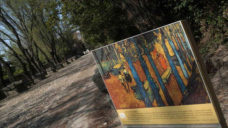 A sign bearing a Van Gogh painting of a narrow forest, hanging in a similar forest to the painting