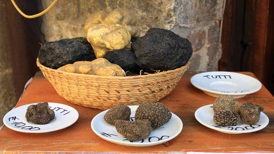 a basket of truffles