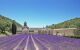 view of the Abbaye Notre-Dame de Senanque and a lavender field infront of it