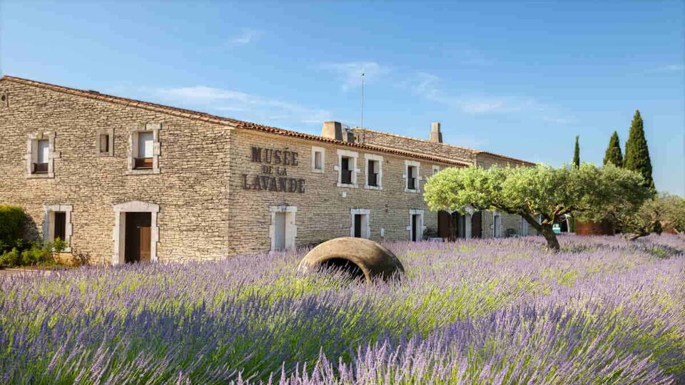 exterior of the Museum of Lavender