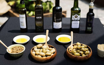 Olive oil tastings in Provence