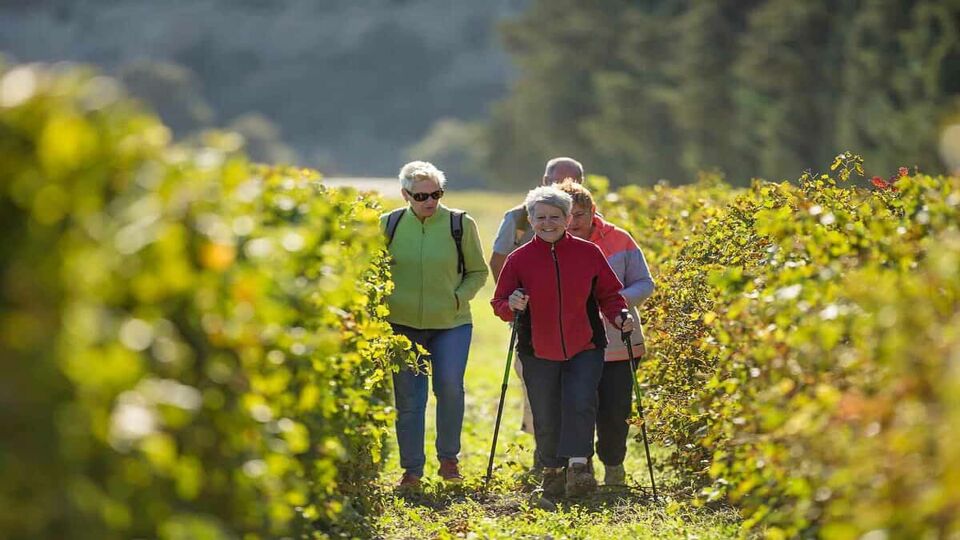 Small group fo elderly women walking through a vineyard