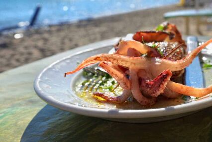Octopus dish served up at Portico-Antico taverna on rhodes