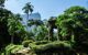 Cliff tops seen through jungle