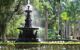 Fountain in jungle