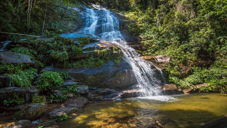 Stream waterfall in jungle pond