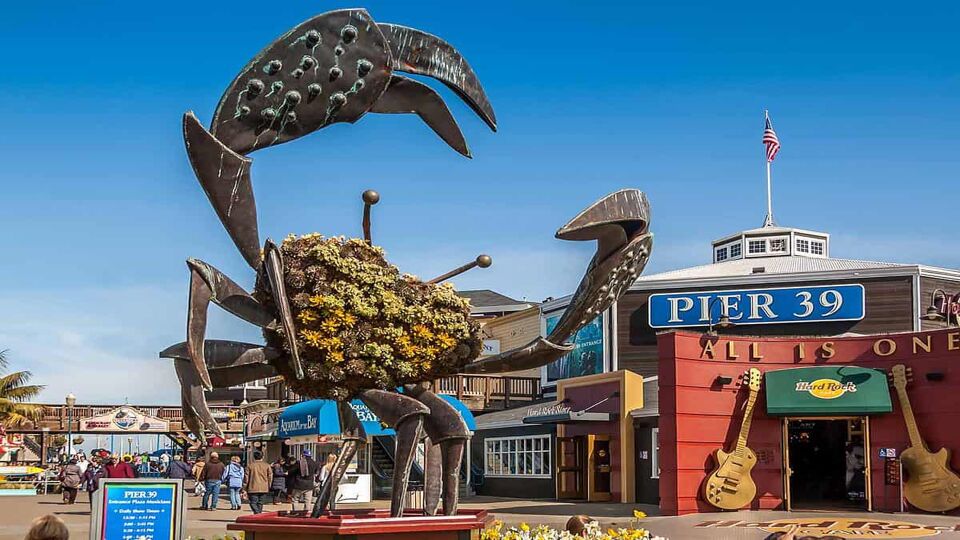 Fisherman's Wharf  Best things to do in San Francisco