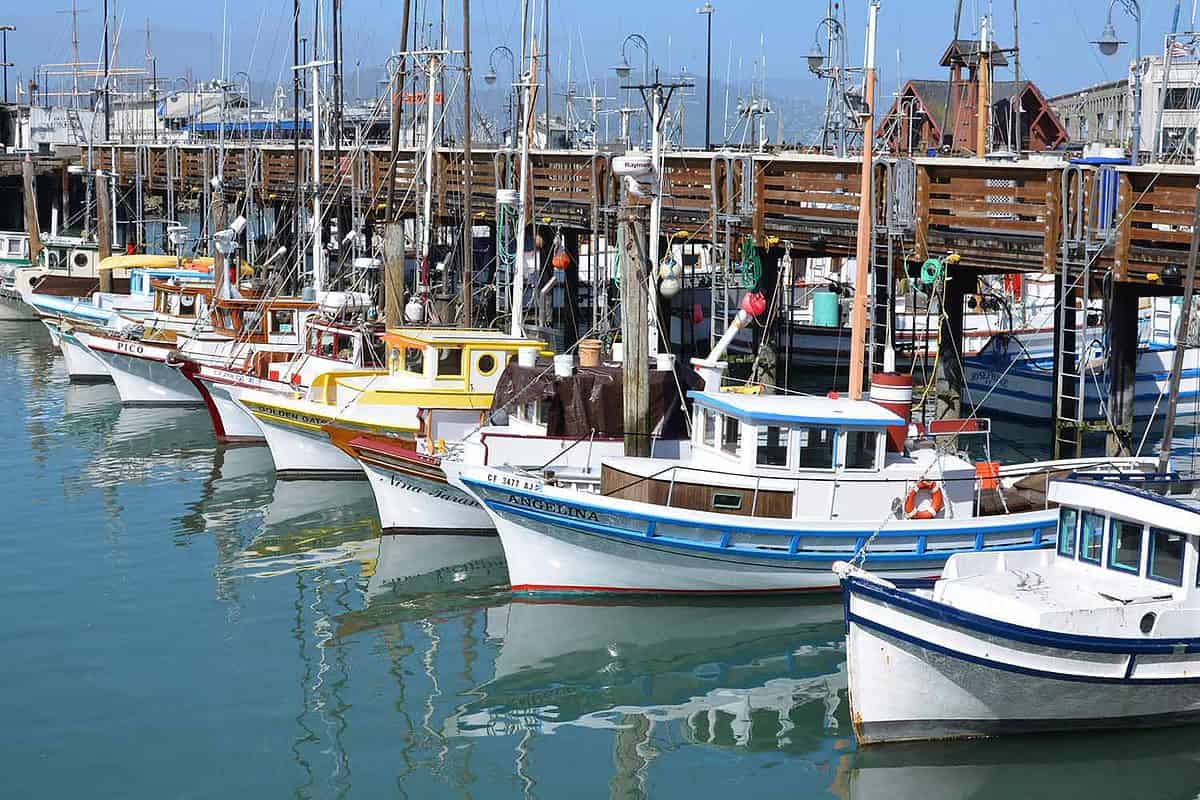 A Lot of Yachts Parking in Harbor at the Fisherman`s Wharf Pier 39