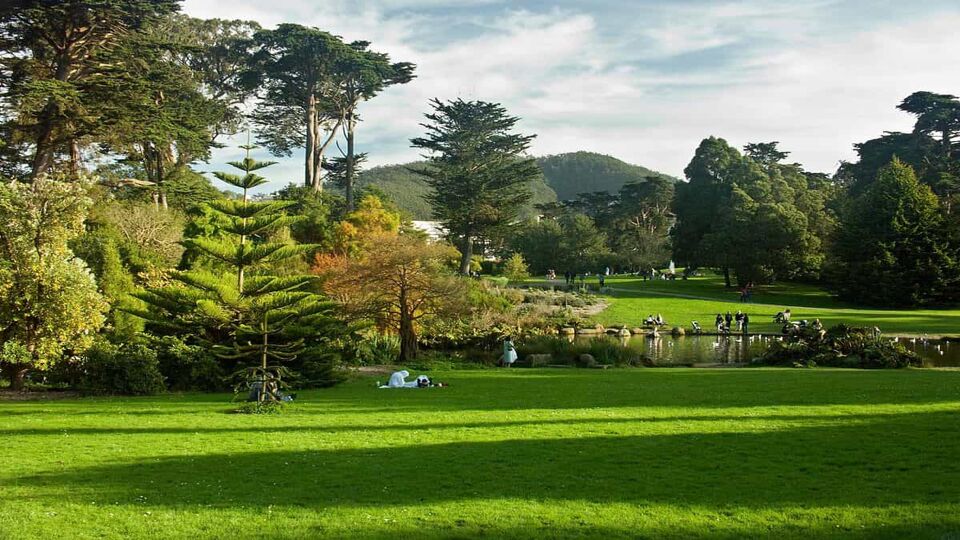 Golden Gate Park - best things to do in San Francisco