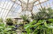Conservatory of Flowers interior, a giant glasshouse