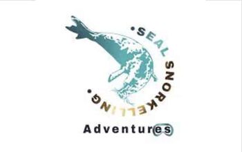 Seal Snorkelling Adventures