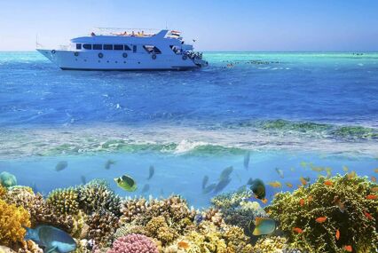 Sail boat ship with tourists in Ras Mohamed National Park in the Red Sea, Sharm El Sheikh, Egypt. Collage with coral reef and fishes.