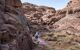 Local bedouin and his dog climbing up mount sinai on a hiking trail to the summit of the Mount Sinai