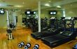 Gym with treadmills dumbbells and pulldown weights machine