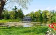 Pond with small hut seen from bank