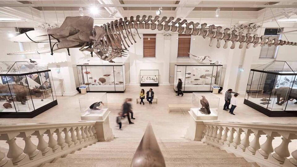 Inside exhibition hall with large hanging skeleton