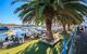 The harbourside gilled with people eating, with a palm tree in the foreground.