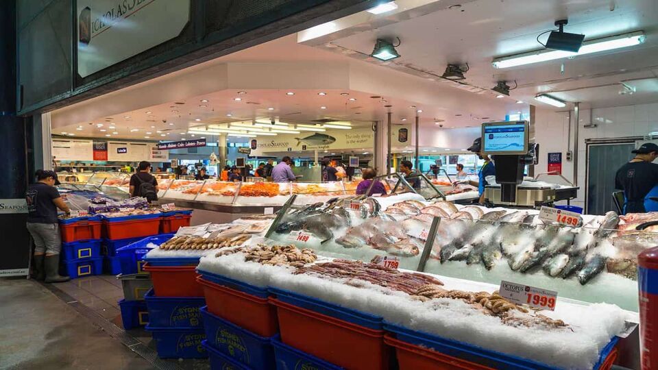 Various seafood indoors in the market.