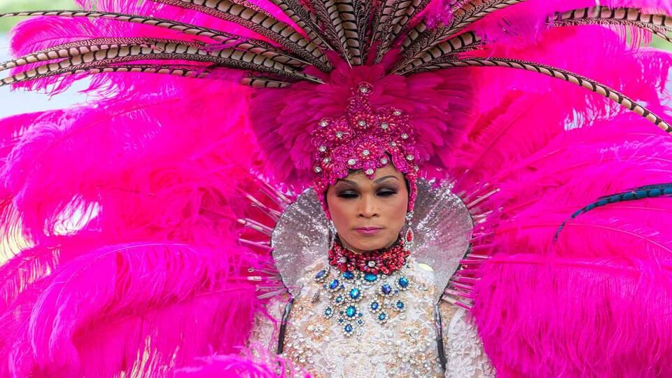 A close up of a person with a flamboyant pink headpiece and feathered pink wings.