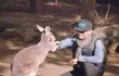 A man feeding a kangaroo.