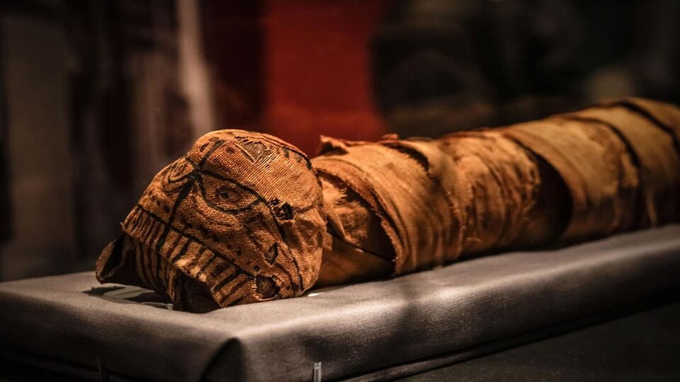 Ancient Egyptian cat mummy around 2000 years ago