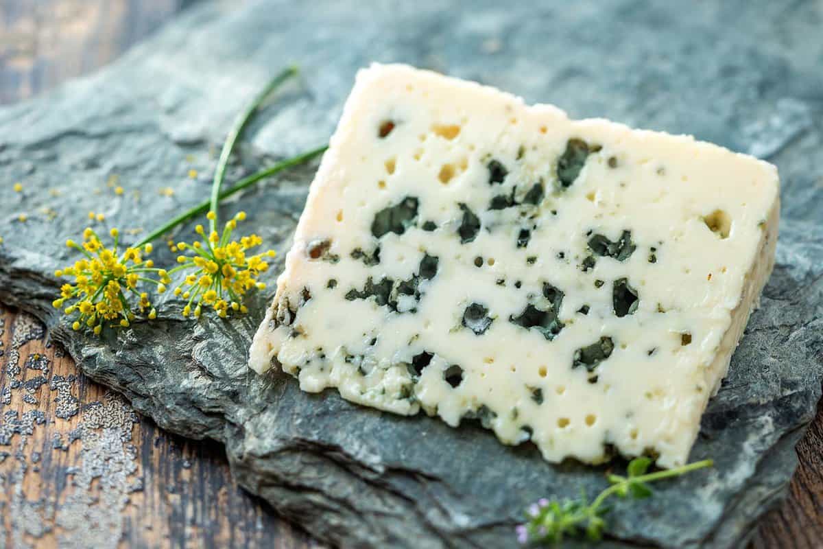 Piece of French blue cheese Roquefort, made from sheep milk in caves of Roquefort-sur-Soulzonwith grapes on grey stone