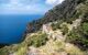 Cliffside view with greenery and the blue sea visible down below