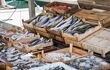 Fresh fish on sale on the market of the harbour of Bodrum
