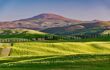 panorama of the Brunello wine lands in the spring with hills covered with soft green grass in the town of Montalcino