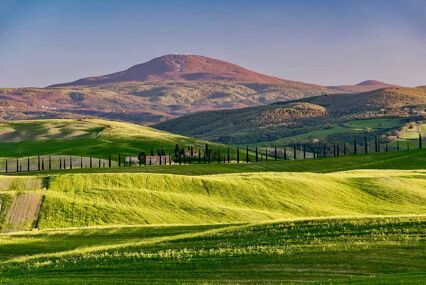 panorama of the Brunello wine lands in the spring with hills covered with soft green grass in the town of Montalcino